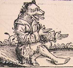 Greek Mythology: The Kynokephaloi (or Cynocephali) were an Indian and African tribe of dog-headed men. The name Kynokephalos means dog-headed, from "kuôn," a dog, and "kephalos," head.    The tribe probably originated in ancient travellers' accounts of the African baboon which were mistaken for men. Indeed, the name Kynokephalos was later used by the Greeks for this animal. Female Werewolves, Hans Holbein, Magia Das Ervas, Hereford, Print Book, Medieval Art, British Museum, Book Illustration, Larp