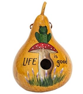 Functional Beauty: Amish Craftsmanship and One-of-a-Kind Artwork in Handmade Gourd Birdhouses and Feeders Painting Bird House Gourds, Painted Gourd Birdhouses, Amish Homestead, Unique Home Features, Frog On Mushroom, Gourds Painted, Painted Birdhouses, Gourd Birdhouses, Hand Painted Birdhouses