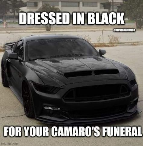 Mustang Quotes Car, Mustang Wraps, Mustang Meme, Illegal Racing Aesthetic, Mustang Quotes, Mustang Humor, Chevy Vs Ford, Quotes Car, Eternal Peace