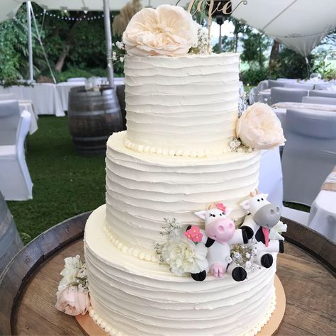 Farmer cow wedding cake soft pinks white rustic country Farmer Wedding Cake, Cow Wedding Cake, Cow Wedding, Farmer Wedding, Wedding Planning Checklist Timeline, Wedding Garden, Planning Checklist, Wedding Planning Checklist, Sweets Treats