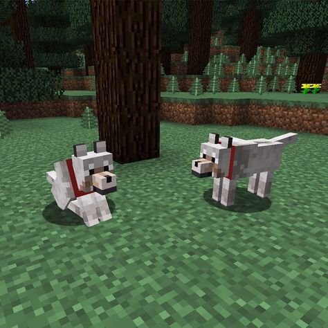 Minecraft Dog, Wolf Sitting, Minecraft Wolf, Minecraft Dogs, Happy National Dog Day, Crazy Dog Lady, Dog Projects, Minecraft Skins, Dog Days