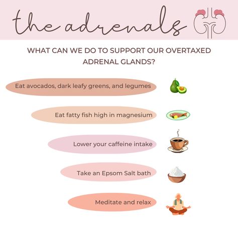 Adrenal And Cortisol Support, Adrenal Health Tips, Adrenal Body Type Diet, Adrenal Gland Support, Healing Gut, Adrenal Support Supplements, How To Lower Cortisol, Adrenal Fatigue Diet, Body Type Diet