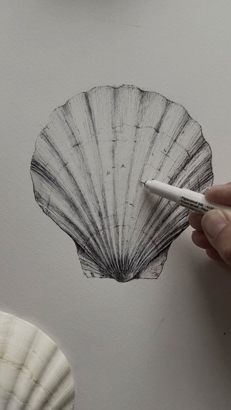 𝗠 𝗔 𝗥 𝗚 𝗢  𝗛 𝗨 𝗣 𝗘 𝗥 𝗧 on Instagram: “#Sketch #ink #drawing #artwork #artistwork #sketching #sketchdaily #shells🐚 #shellart #shellsketch #drawn #drawing #artistsoninstagram…” Drawing Of Shells, How To Draw A Shell, Drawing Themes Ideas, Conch Shell Drawing, Seashell Sketch, Shells Drawing, Shell Drawings, Shell Sketch, Natural Forms Gcse