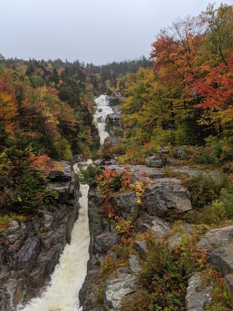 A rainy fall day in in the White Mountains of New Hampshire 3024x4032 [OC] New Hampshire White Mountains, October Rust, Rainy Fall Day, Rainy Fall, October Country, Nice Life, Amazing Landscapes, National Photography, Lake Sunset