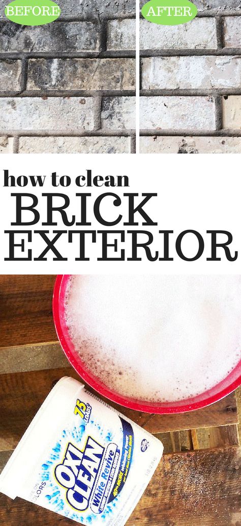 Refresh Brick Exterior, Cleaning Brick Patio, How To Clean Brick Exterior, Brick Cleaner Outdoor, How To Clean Bricks Outside, Cleaning Brick Exterior, How To Paint Brick Exterior, Garden Planting Guide, Cleaning Brick