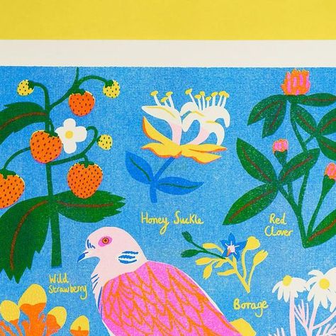 Naomi Wilkinson on Instagram: "Just in time with a June print ( July and august also added online!) #illustration #risographprint #flowers #wildflowers #foraging #wildplants #strawberry" Naomi Wilkinson, July Flower, Online Illustration, Risograph Print, Wild Plants, June 21, Flower Illustration, Just In Time, Strawberries