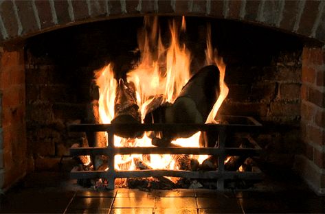 Blazing Hearth cool fire animated animation gifs gif Fireplace Gif, Fire Gif, Winter Gif, Animiertes Gif, Ron Swanson, Yule Log, Light My Fire, Screen Saver, Cozy Fireplace