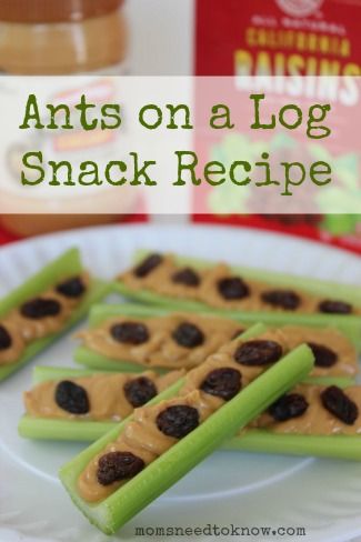 Kids’ lunches and snacks can be healthy, fun and delicious.  Sure, they may not always get all those processed, sugar laden foods some of their friends eat every day, but they love this Ants on a Log Snack, Woodland Snacks, Food Crafts For Kids Edible, Ants On A Log Snack, Science Snacks, Food Crafts For Kids, Wic Recipes, Kids Snack Ideas, Rainforest Crafts, Ants On A Log