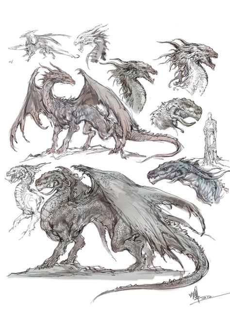 Dragon designs. #design #idea #anatomy #wyvern  #heads #body #muscles #reptile #lizard #beast Types Of Monsters, Dragon Concept, Dragon Anatomy, Dragon Drawings, Creaturi Mitice, Dragon Sketch, 다크 판타지, Creature Drawings, Fantasy Creatures Art