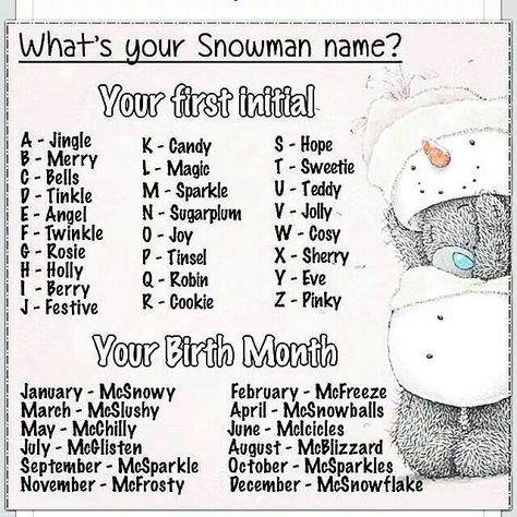 Snowman name Christmas Usernames, Snowman Names, Snowman Name, Funny Name Generator, Silly Names, Birthday Scenario, Funny Nicknames, Pirate Names, Snowman Party