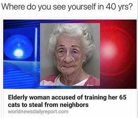 Funniest Memes of the Day ~ Funny news story cat lady elderly woman accused of training cats to steal from neighbors Crazy Funny Memes, Memes Humor, Komik Internet Fenomenleri, Funny Meme, Really Funny Pictures, Really Funny Memes, Narnia, Funny Laugh, So True