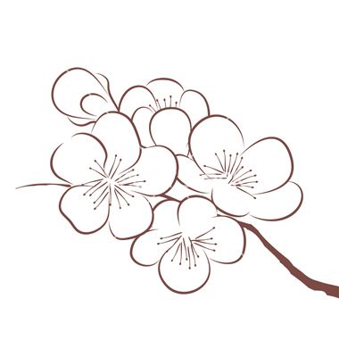 Cherry blossom vector by CatChat on VectorStock® Cherry Blossom Vector, Cherry Blossom Drawing, Blossom Trees, Spring Blossom, Blossom Flower, Painting Canvas, Art Floral, 그림 그리기, Flower Drawing