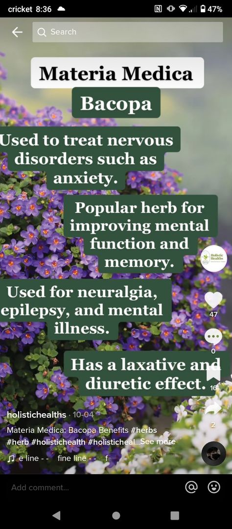 Herbs For Seizures, Bacopa Benefits, Plant Medicine, Medicinal Plants, Holistic Health, Alchemy, Apothecary, Natural Remedies, Healthy Food