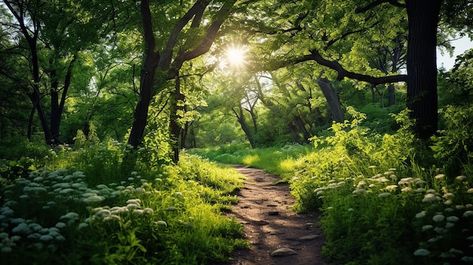 Photo nature's path scenic hiking trail ... | Premium Photo #Freepik #photo Landscape Pathway, Natures Path, Hiking Trail, Green Landscape, Forest Landscape, Nature Trail, Lush Greenery, Green Nature, Premium Photo