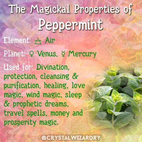 Herbs Correspondences, Herbal Correspondences Witchcraft, Basil Correspondences, Magical Correspondences Herbs, Month Magical Correspondences, Plant Symbolism, Tea Remedies, Kitchen Witch Recipes, Good Luck Spells