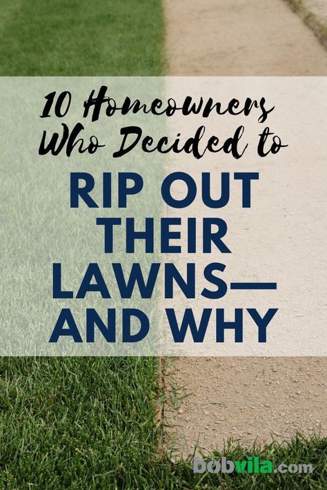 Replace Lawn With Garden, Front Yard Grass Replacement Ideas, Grass Free Yard Ideas, Alternatives To Grass In Front Yard, Replace Lawn Ideas, Grass Free Yard, Lawn Replacement Ideas Grass Alternative, Front Yard Landscaping No Grass Ideas Lawn Alternative, Outdoor Lawn Ideas