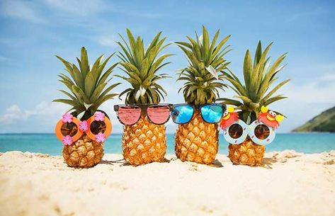 Vacation Captions, Coconut Island, Pine Apple, Image Swag, Creative Activities For Kids, Summer Bucket, Summer Wallpaper, Facebook Cover Photos, Tropical Islands