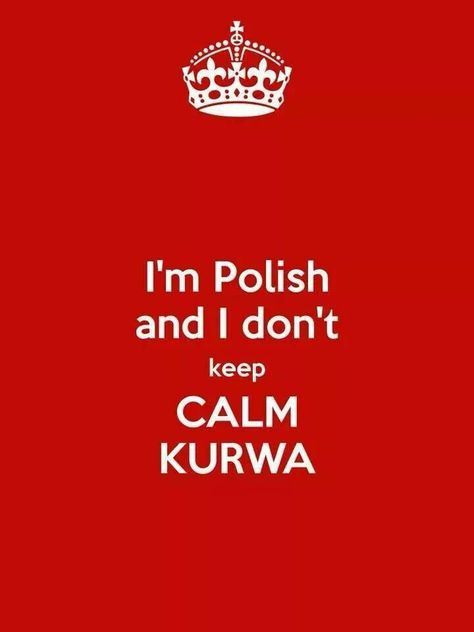 I'm Polish Polish Quotes, Polish People, Polish Traditions, Polish Memes, Polish Language, Everything And Nothing, Polish Recipes, Keep Calm, Words Quotes