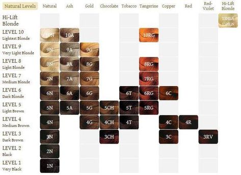 Argan Oil Color Chart, Oil Hair Dye, Hair Color Pixie Cut, Argan Oil Hair Color, Argan Oil Color, Hair Chart, Argon Oil, Professional Hair Color, Hair Color Chart