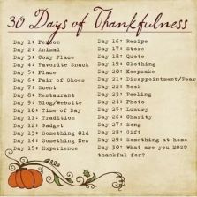 Journey to a Healthier Me – My Life in Our Father's World 30 Days Of Thankfulness, Turkey In The Oven, Fear Book, November Challenge, Always Be Thankful, Hosting Holidays, Here We Go Again, Pet Day, Blog Website