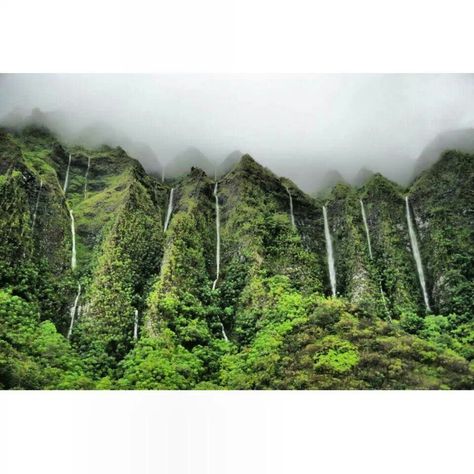 Waterfalls appear along Koolau mountainsides after every heavy rainfall!! It's a must see on Oahu! Koolau Mountains, Volcanic Mountains, Heavy Rainfall, Mountain Waterfall, Mountain Tattoo, My Dream Came True, Mountain Paintings, Water Painting, Oahu Hawaii