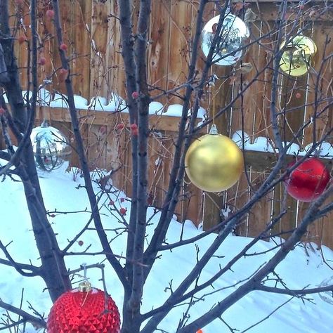 Outdoor Tree Decorations Christmas, Outdoor Christmas Ornaments For Trees, Outdoor Tree Ornaments, Large Outdoor Christmas Ornaments, Outdoor Xmas Tree, Outdoor Tree Decorations, Oversized Ornaments, Outdoor Ornaments, Christmas Tree Bulbs