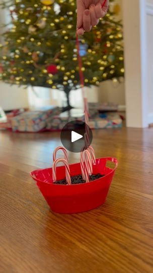 122K views · 868 reactions | Christmas Minute to Win It - Candy Cane Fishing #christmas #partygame #christmasgames #christmasparty #christmaspartygames | Simple Life of Sunshine | Simple Life of Sunshine · Original audio | Reels Candy Cane Fishing Game, Candy Ball Game, 1st Grade Christmas Party, Minute To Win It Games Christmas, Christmas Fun Games, Candy Cane Fishing, Group Party Games, Nye Party Games, Friend Games