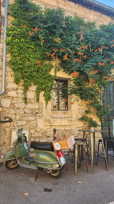 Green Motorcycle, flowers. View that look like italy Camargue France, Puzzle Ideas, Provence, Summer Vibes, France, Building, Camargue