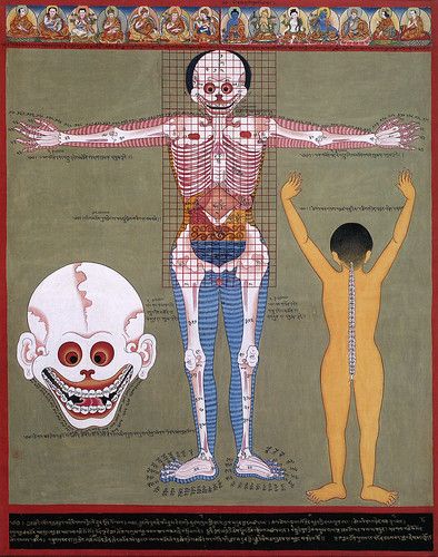 images of impermanence | dockedship | Flickr Medical Drawings, 17th Century Art, Thangka Painting, Tibetan Art, Tibetan Buddhism, Medical Illustration, Buddhist Art, Weird Art, Light Oak