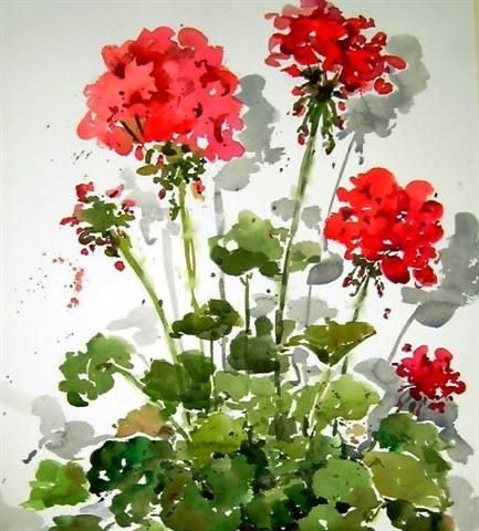 Cindy Parker | WATERCOLOR | Geranium Stems Watercolor Geraniums, Watercolour Flowers, Red Geraniums, Watercolor Pictures, 수채화 그림, Watercolor Flowers Paintings, Watercolor Inspiration, Art And Illustration, Arte Floral