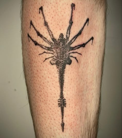 Facehugger Tattoo, Lined Tattoos, Hr Giger Tattoo, Facehugger Alien, Giger Tattoo, Artistic Photoshoot, Predator Tattoo, Giger Art, La Tattoo