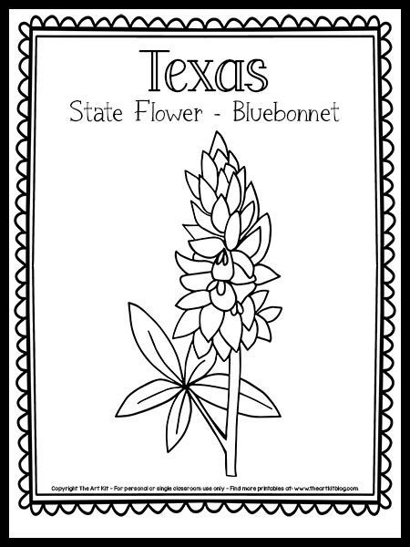 Texas Coloring Page - State Flower: The Bluebonnet {Free Printable} - The Art Kit Texas Art Preschool, Texas State Symbols Printable, Texas Preschool Theme, Bluebonnet Coloring Page, All About Texas Preschool, Texas Week Preschool, Bluebonnet Craft For Kids, Texas Worksheet Printable Free, Texas Theme Preschool Activities