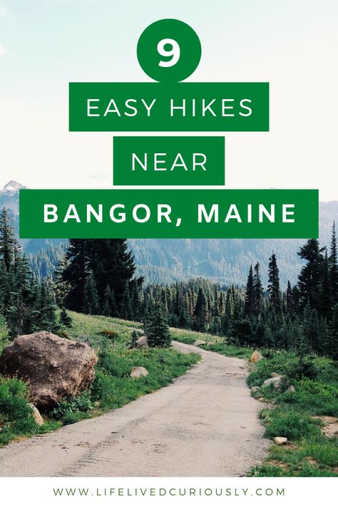 These 9 easy hikes near Bangor, Maine are perfect to escape the hustle and bustle of every day life. These are easy and relaxing hikes through calm forest and meadows. You don't have to drive all the way to Acadia National Park or Baxter State Park to get your time nature. Stay local with these 9 easy hikes near Bangor, Maine. Calm Forest, Augusta Maine, Baxter State Park, Bangor Maine, American Chestnut, Community Volunteering, University Of Maine, New England Travel, Wildlife Habitat