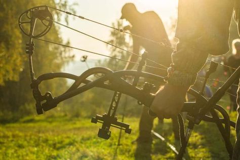 How to Choose Your First Compound Bow: The Comprehensive Guide Camping Keto, Walleye Fishing Tips, Crappie Fishing Tips, Bow Archery, Bow Aesthetic, Bow Hunter, Biker Quotes, Fishing Stuff, Archery Bow