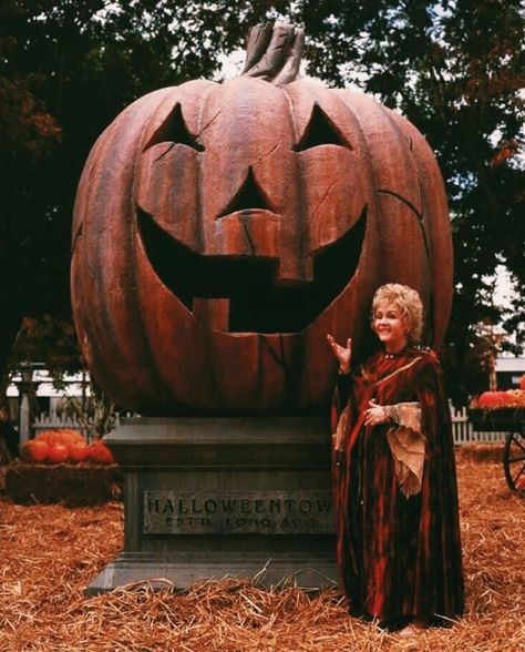 Halloween Town Disney, Halloween Films, Imprimibles Halloween, Herbst Bucket List, Studera Motivation, Image Halloween, Disneyland Halloween, Carved Pumpkin, Adornos Halloween