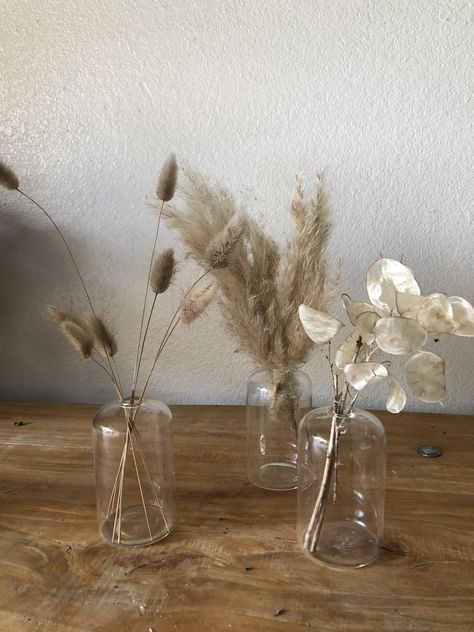 Cloche bud vases with Bunnytail, Lunaria, and sprigs of Pampas Grass Mini Pampas, Brown Pampas, Living Pequeños, Grass Centerpiece, Pampas Grass Decor, Grass Decor, Event Centerpiece, Home Decor Rustic, Tall Centerpieces