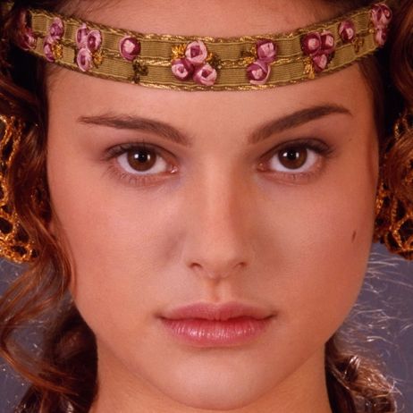 Padme Amidala - Attack of the Clones Natalie Portman Star Wars, Star Wars Padme Amidala, Star Wars Padme, Queen Amidala, Anakin And Padme, Padme Amidala, Star Wars Outfits, Picnic Dress, Star Wars Costumes