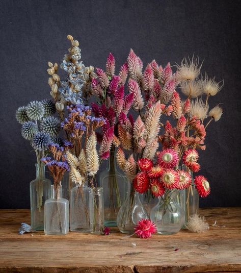 Colorful Dry Flowers, Dry Flowers Bouquet, Diy Dried Flower Arrangement, Dried Flower Wall, Jazz Colors, Flower Wreaths, Dried Flower Wreaths, Cut Flower Garden, Flower Crowns