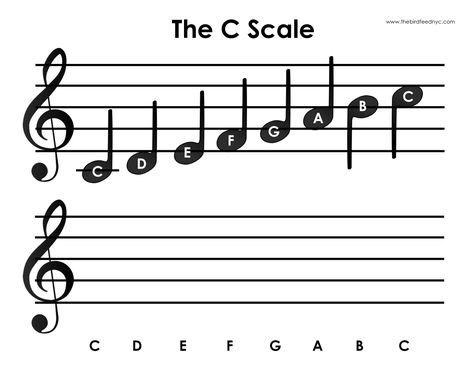 C Scale Activity for Kids | Draw the Scale! C Major Scale, Piano Worksheets, Music Activities For Kids, Composer Study, Reading Sheet Music, Music Camp, Piano Notes, Major Scale, Music Worksheets