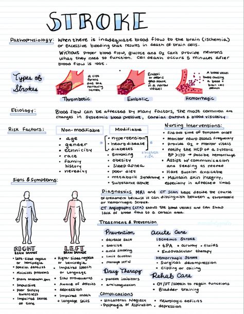 Emt Study, Nurse Notes, Health Notes, Med Surg Nursing, Nursing School Essential, Medicine Notes, Nursing School Motivation, Nurse Study Notes, Nursing Student Tips