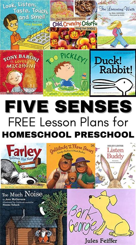 5 Senses Preschool, Five Senses Preschool, 5 Senses Activities, Books For Preschoolers, Senses Preschool, My Five Senses, Senses Activities, The Five Senses, Preschool Units