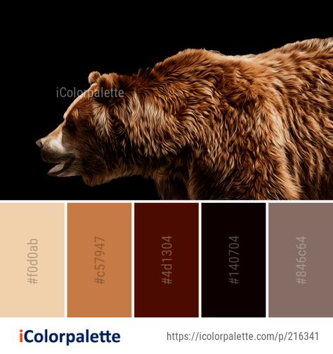 Color Palette Ideas from Brown Bear Grizzly Image Wild Color Palette, Bear Color Palette, Brown Color Palettes, Best Color Palettes, Popular Color Palettes, Brown Color Palette, Color Schemes Colour Palettes, Palette Ideas, Color Chip