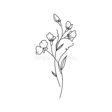 Small Flower Drawings, Sweet William Flowers, April Birth Month Flower, Pea Tattoo, Sweet Pea Tattoo, April Birth Month, Wildflower Drawing, Self Love Tattoo, Wildflower Tattoo