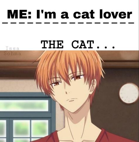 Kyo Fruits Basket, Anime Fruits Basket, Fruits Basket Kyo, Basket Anime, Fruits Basket Anime, Fruits Basket, Fruit Basket, Fruit, Anime