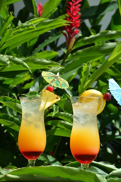 Chichita - One of our tasteful cocktails at Hotel Westin Playa Bonita. It's the panamanian national drink made with sugar cane and seco. #drinks #panama #cocktail #delicious Panama Cocktail, Sugar Cane, Panama, Food Ideas, Travel Destinations, Party Ideas, Favorite Places, Hotel, Drinks