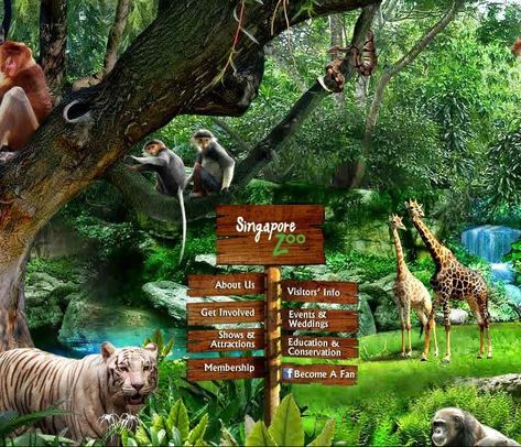 4d 3n Tour With Sentosa, Singapore Zoo & Night Safari (sg 28) Country:	Singapore City:	Singapore Duration:	4 Day(s) - 3 Night(s) • 03 nights accommodation  • 03 breakfasts (unless otherwise indicated)  • Return Airport transfers  • Half day Complimentary city tour with Singapore Flyer (SIC / SIV)  http://www.travelosingapore.com/tours/4d-3n-tour-with-sentosa,-singapore-zoo--night-safari-(sg-28)/ #Singapore #Singaporetours #Singaporetour #SingaporeTourism #Singaporetravel #Singaporetravelpackage… Zoo Photography, Sentosa Singapore, Singapore Flyer, Singapore Tour, Singapore Zoo, Singapore City, Singapore Travel, Wedding Show, Plan Your Trip