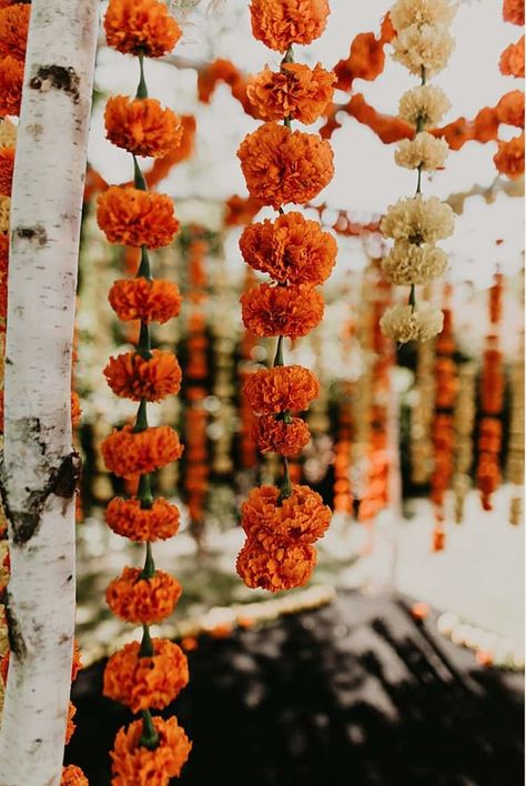 Rainbow Wedding Ideas, Rainbow Wedding Decorations, Rainbow Wedding Theme, Rainbow Wedding Cake, Marigold Garland, Marigold Wedding, Rainbow Wedding Dress, Buzzards Bay, Shut Up And Dance