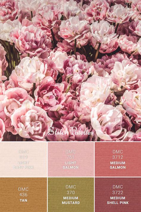 Floss color inspiration for cross stitch and embroidery projects. Thread colors used: DMC 819: Light Baby Pink / DMC 761: Light Salmon / DMC 3712: Medium Salmon / DMC 3722: Medium Shell Pink / DMC 370: Medium Mustard / DMC 436: Tan. Palette ID: SPA0527 Dmc Pink Color Palette Code, Boho Pink Color Palette, Colors That Compliment Pink, Stitch Palettes, Colour Wheel Theory, Peony Embroidery, Nude Color Palette, Light Baby Pink, Pink Thread