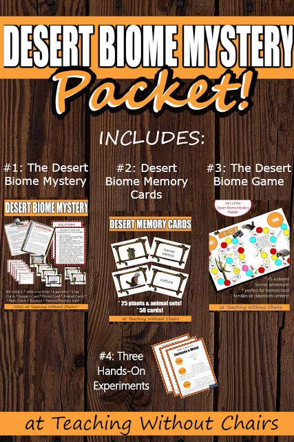 Classroom Stations, Homeschool Themes, Desert Biome, Desert Animals, Mystery Games, Unit Plan, Preschool Theme, Biome, Big Dreams