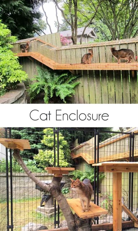 Outside Cat Enclosure, Catio Plans, Diy Cat Enclosure, Outdoor Cat Shelter, Chat Diy, Cat Patio, Outdoor Walkway, Outdoor Cat Enclosure, Outdoor Cat House